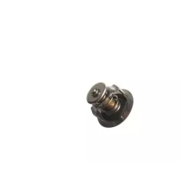 Termostat silnika PERKINS XC