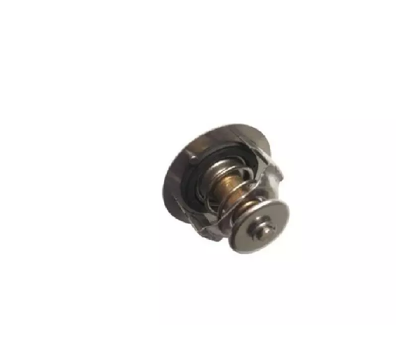 Termostat silnika PERKINS G4.236