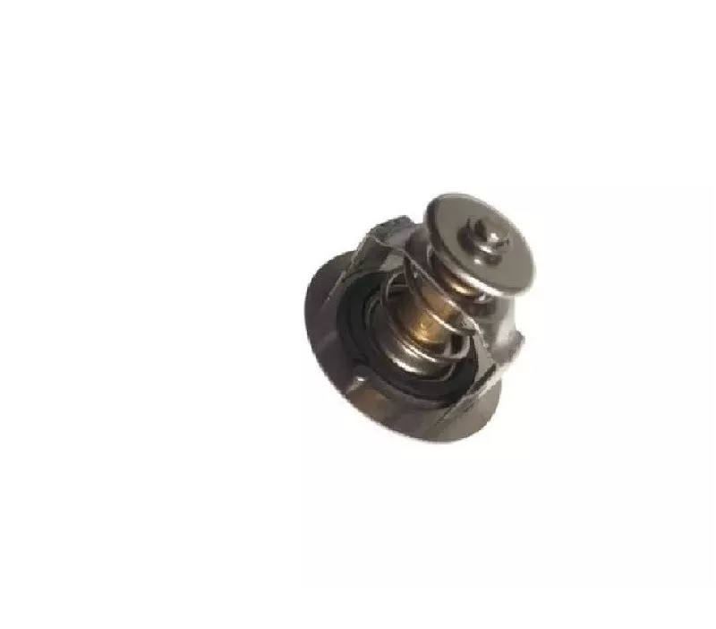 Termostat silnika PERKINS C6.354.4