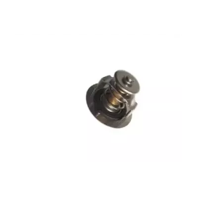 Termostat silnika PERKINS C6.354.4