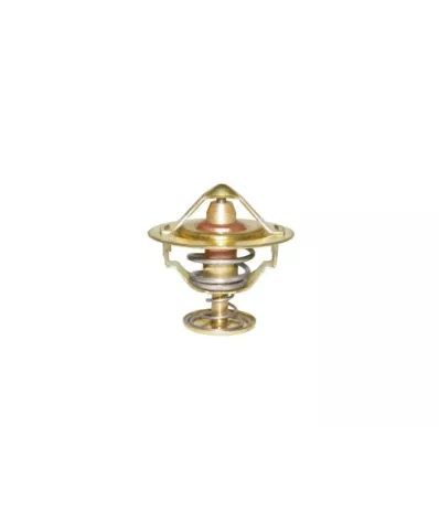 Termostat silnika NISSAN SD25