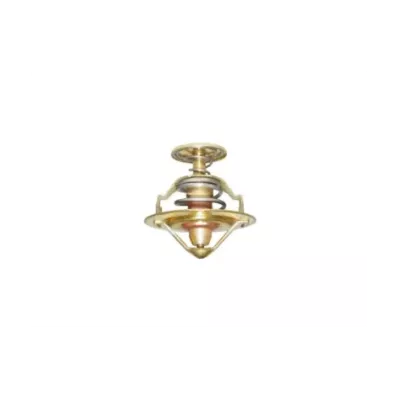 Termostat silnika NISSAN SD33T