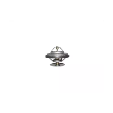 Termostat silnika VW 035.1