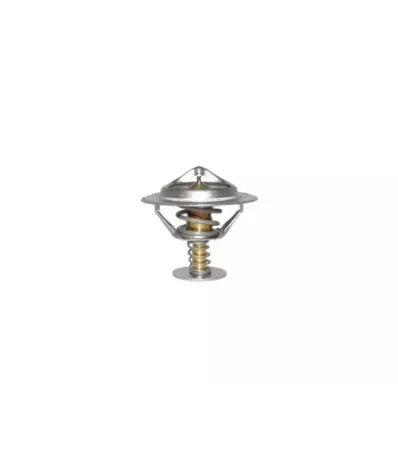 Termostat silnika NISSAN TB42