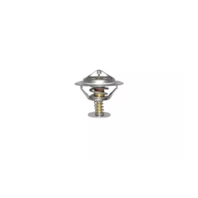 Termostat silnika NISSAN TB42