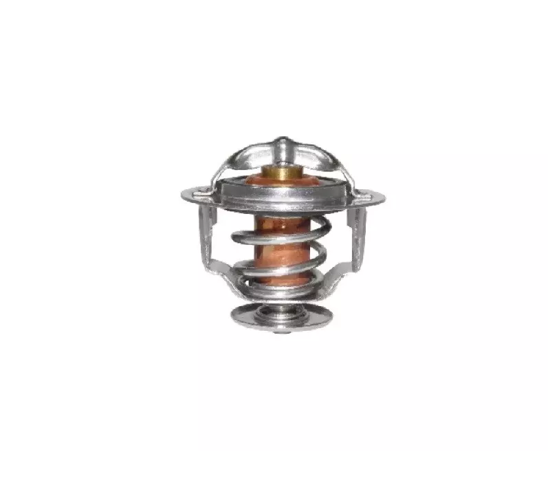 Termostat silnika CATERPILLAR 3034