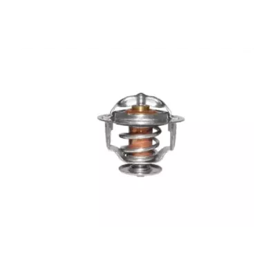 Termostat silnika CATERPILLAR 3034