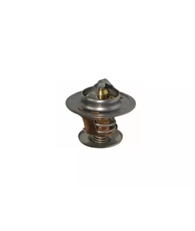 Termostat silnika CATERPILLAR 3114