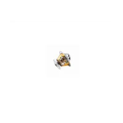 Termostat silnika CATERPILLAR 3126