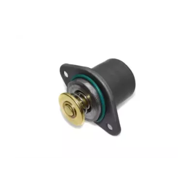Termostat silnika PERKINS E87TAG3