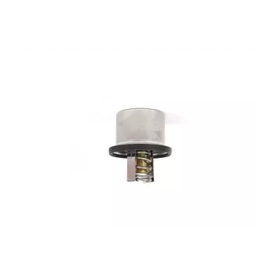 Termostat silnika PERKINS S6E