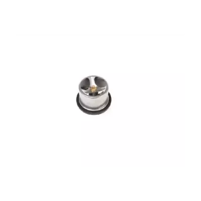 Termostat silnika PERKINS SGN