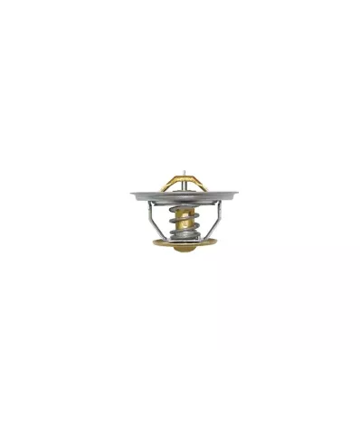 Termostat silnika PERKINS DGA