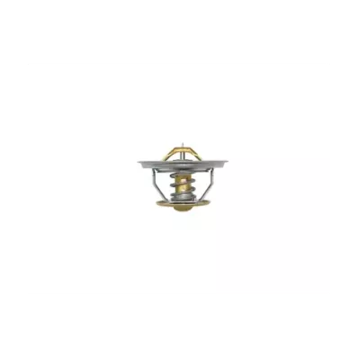 Termostat silnika PERKINS DGA