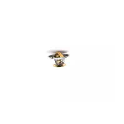 Termostat silnika PERKINS DGKM