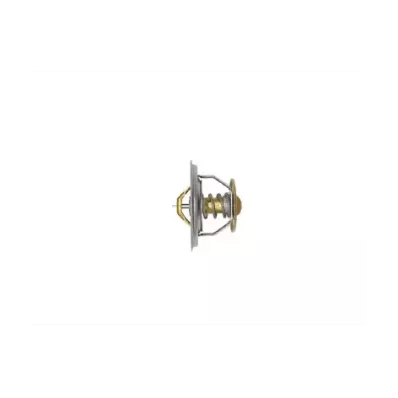 Termostat silnika PERKINS DGLH