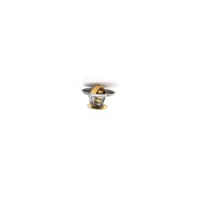 Termostat silnika PERKINS DGS