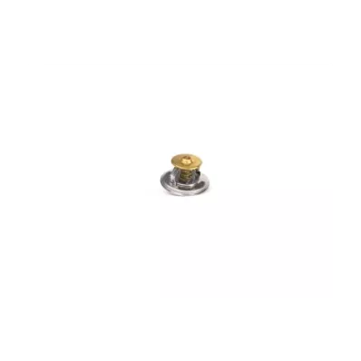 Termostat silnika PERKINS DIG