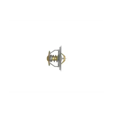 Termostat silnika PERKINS TAG2 GENERATING SETS