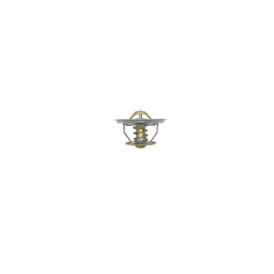 Termostat silnika PERKINS TRG3 GENERATING SETS