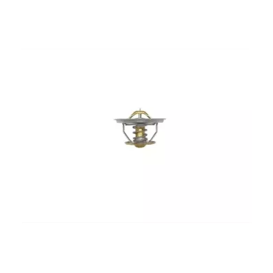 Termostat silnika PERKINS TESI GAS UNIT