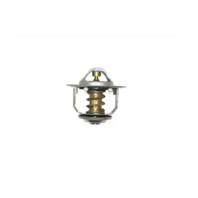 Termostat silnika NISSAN FE6