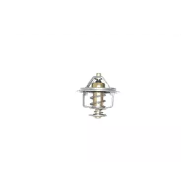 Termostat silnika TOYOTA W06E