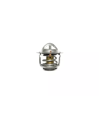 Termostat silnika GM 4.3L