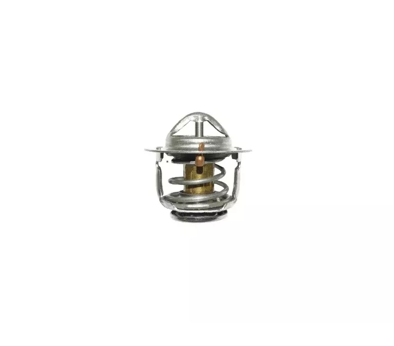 Termostat silnika GM 4.3L