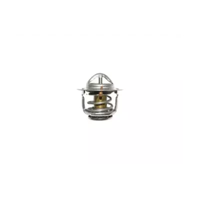 Termostat silnika GM 4.3L