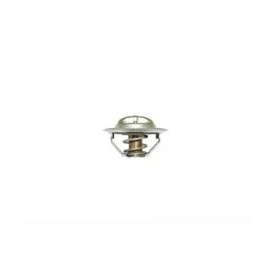 Termostat silnika NISSAN TB45
