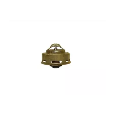 Termostat silnika NISSAN FD6