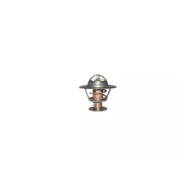 Termostat silnika KOMATSU 2D94