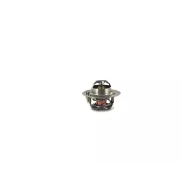 Termostat silnika GM 2.2L