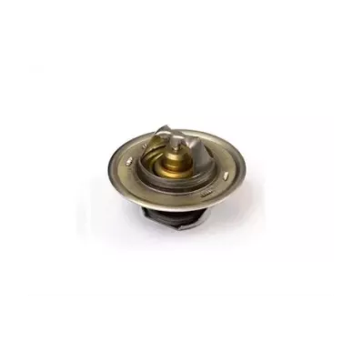 Termostat silnika PERKINS C6.3542