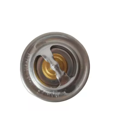 Termostat silnika LOMBARDINI LDW1204T