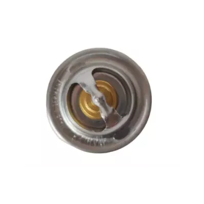 Termostat silnika LOMBARDINI LDW1204T