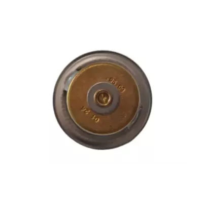 Termostat silnika LOMBARDINI LDW602