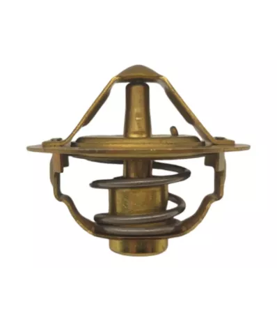 Termostat silnika NISSAN D11