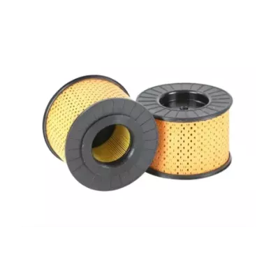 Filtr powietrza (kompletny) HATZ 1B20